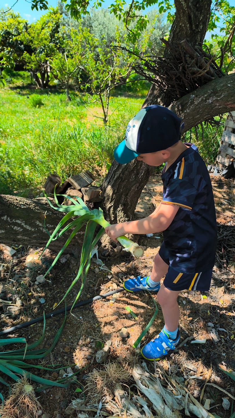 Customer photo review of Niños Smart Ⅰ - Zapatos Barefoot
