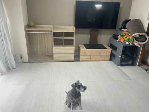 Customer photo review of 【メーカー廃盤商品のため売り切り特価】PARKLON DIYペットロールマット 幅が選べる５サイズ　厚み1.2cm長さ700cm