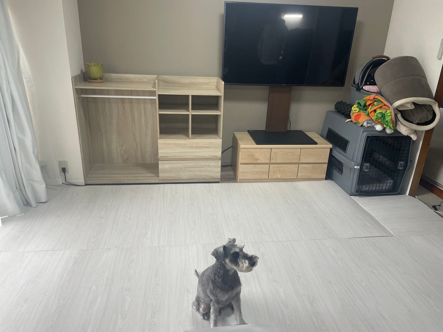 Customer photo review of 【メーカー廃盤商品のため売り切り特価】PARKLON DIYペットロールマット 幅が選べる５サイズ　厚み1.2cm長さ700cm