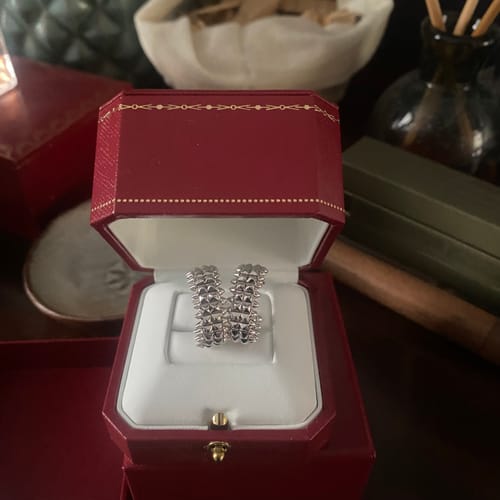 Customer photo review of clash de carti large earrings