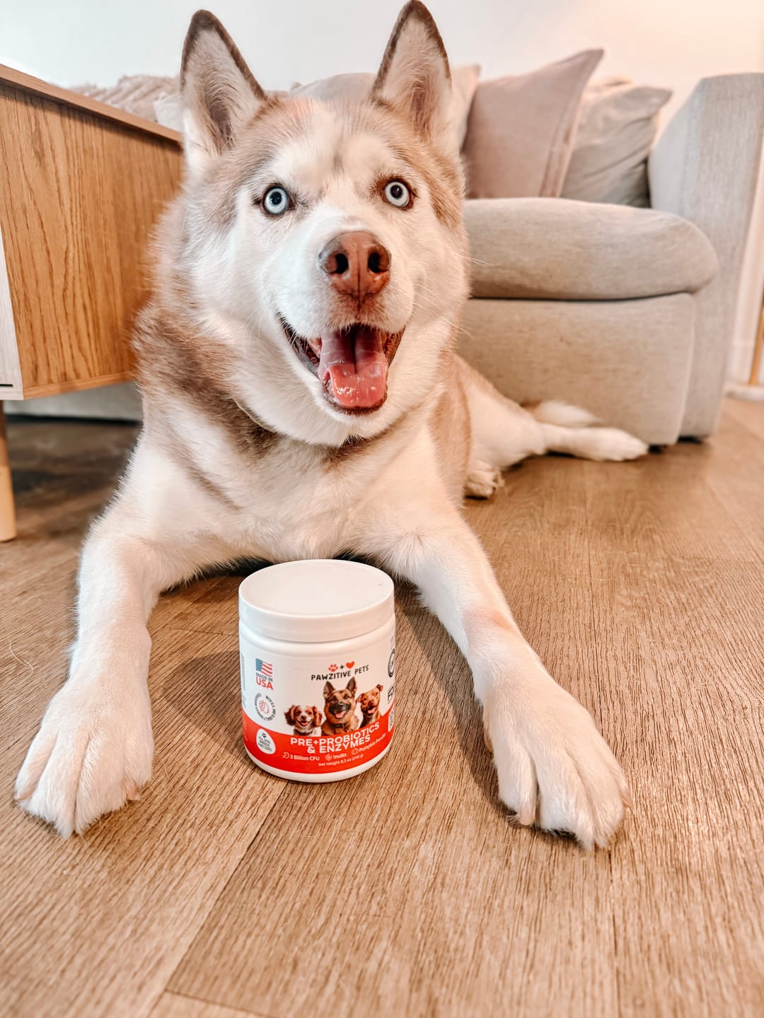 Customer photo review of Pre+Probiotics for Dogs Digestive Health – 120 Soft Chews