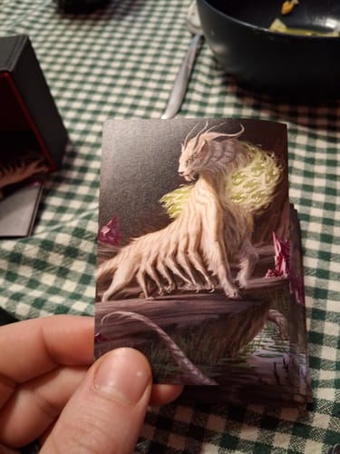 Customer photo review of Custom Card Sleeves