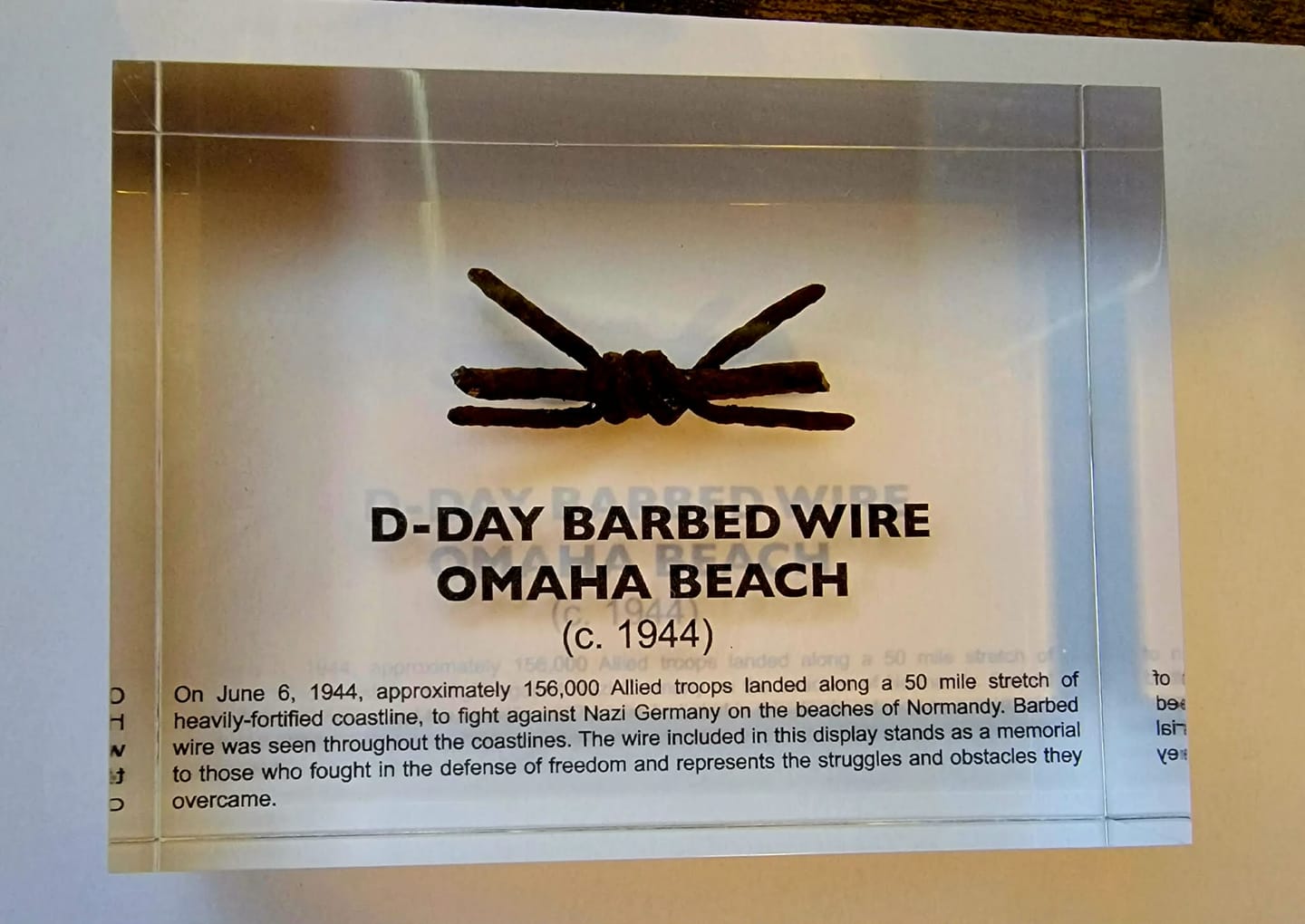 Customer photo review of D-Day Barbed Wire Artifact Display