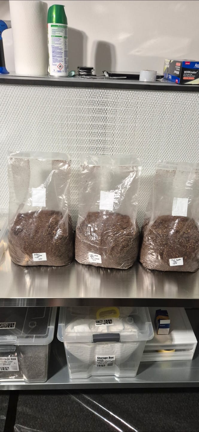 Customer photo review of Autoclavable filter grow bags