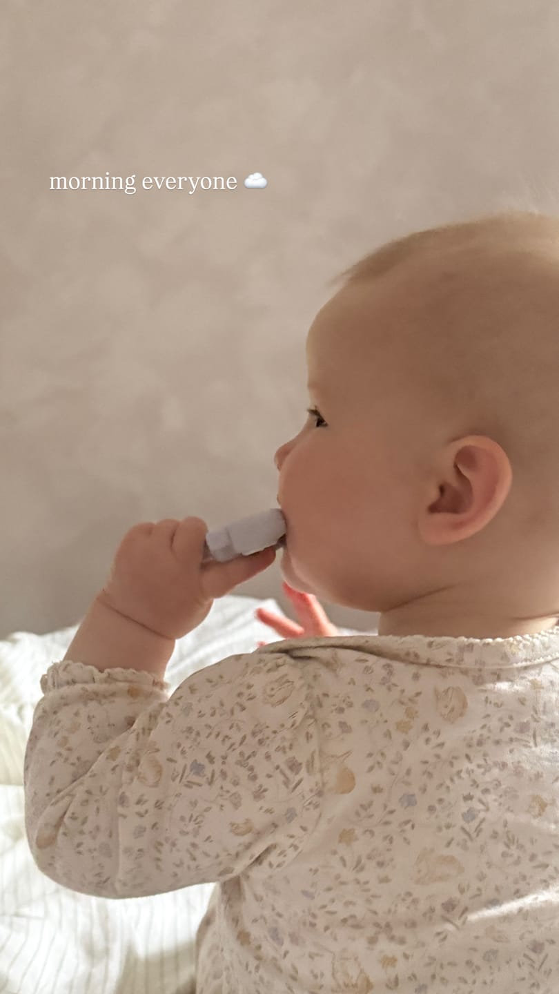 Customer photo review of Dotty the Dinosaur™: Teething Toy