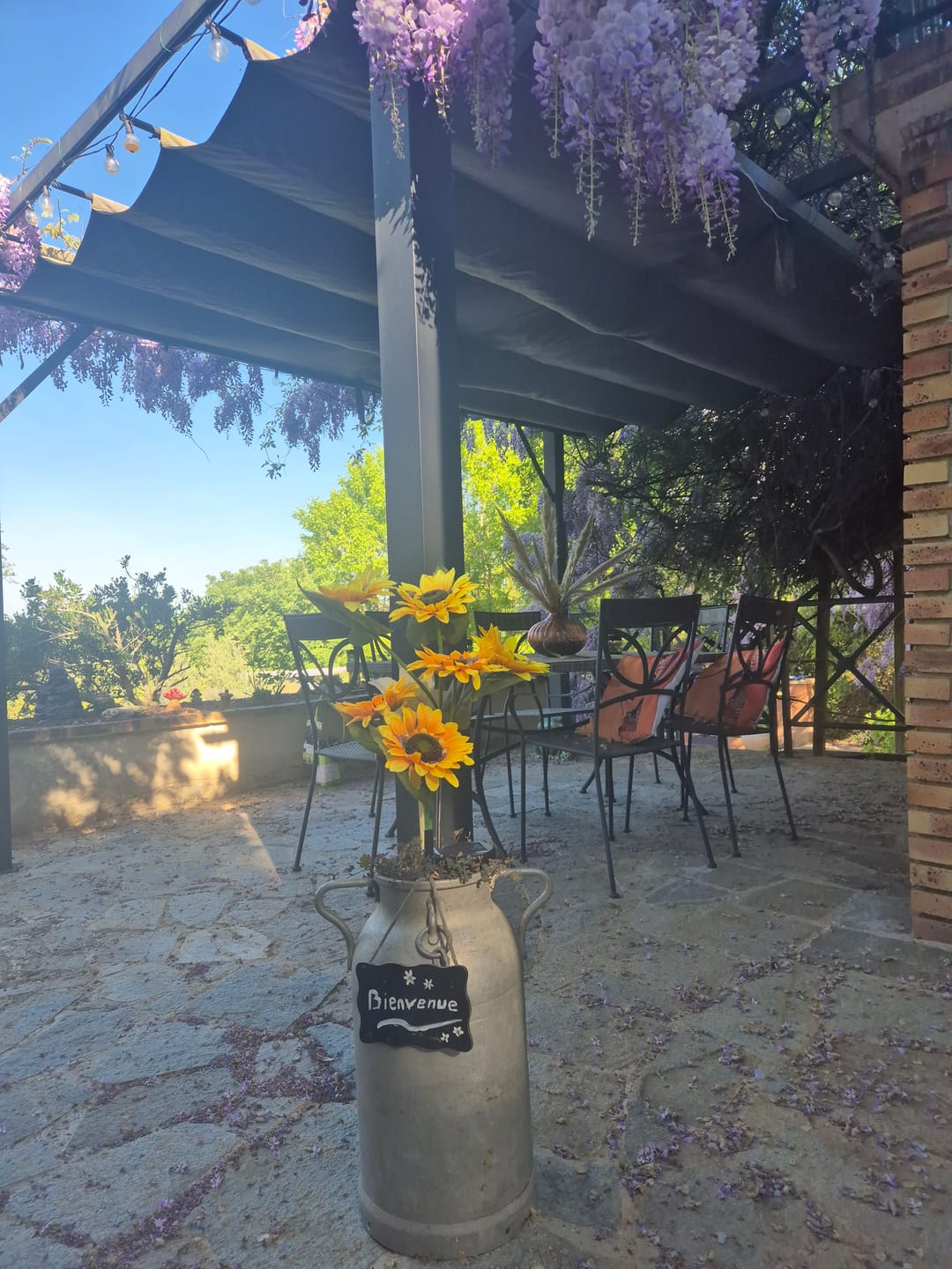 Customer photo review of Mes petits tournesols®