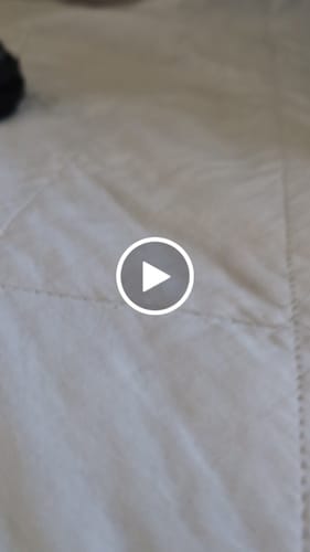 Customer video review of Vibram No Show Toe Socks Black