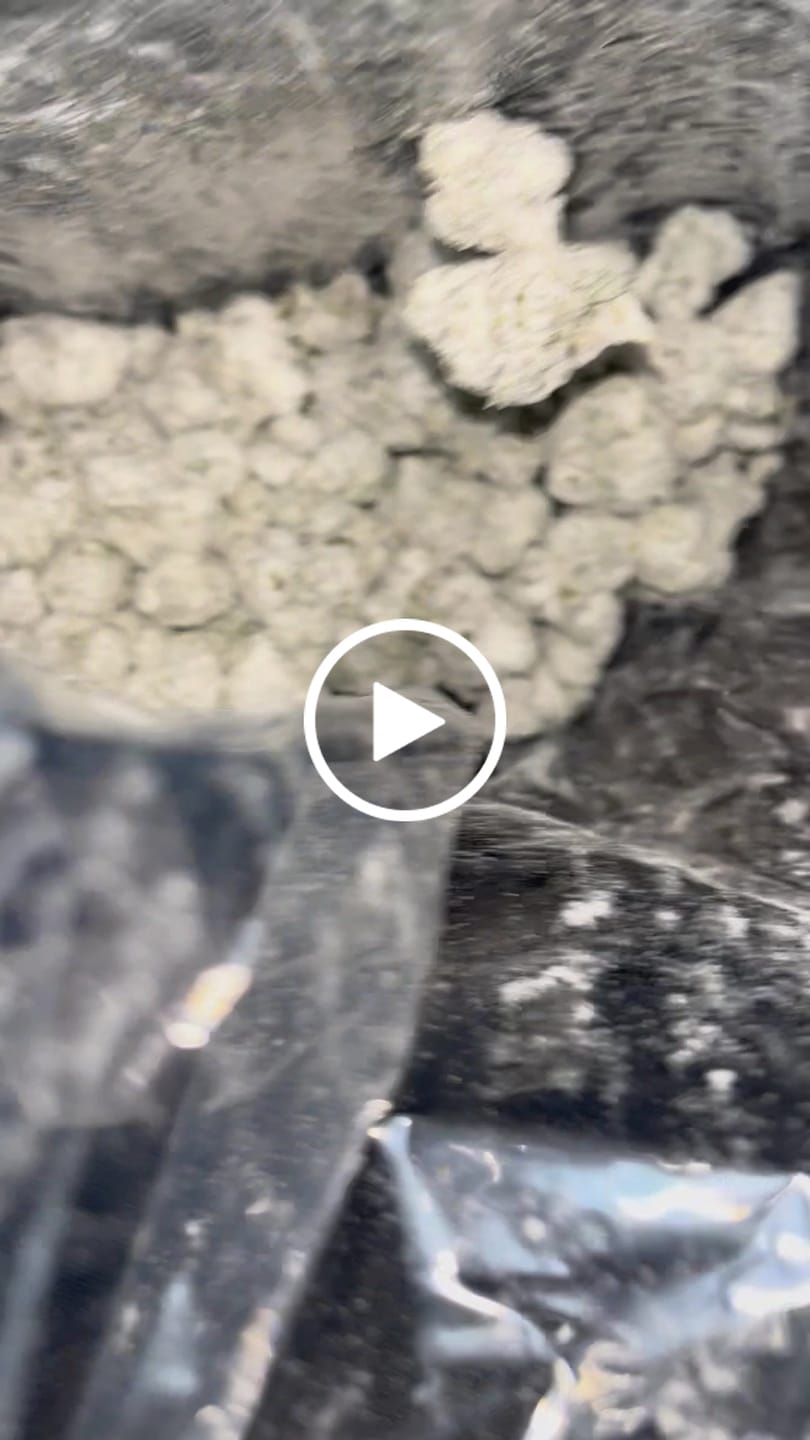 Customer video review of Snowballs - Bulk