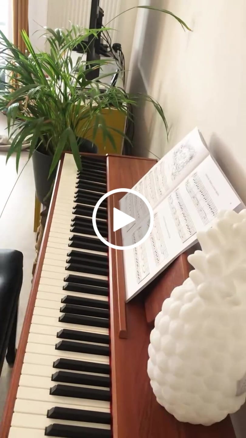 Customer video review of Donner DDP-80 Motif de Bois Piano Numérique
