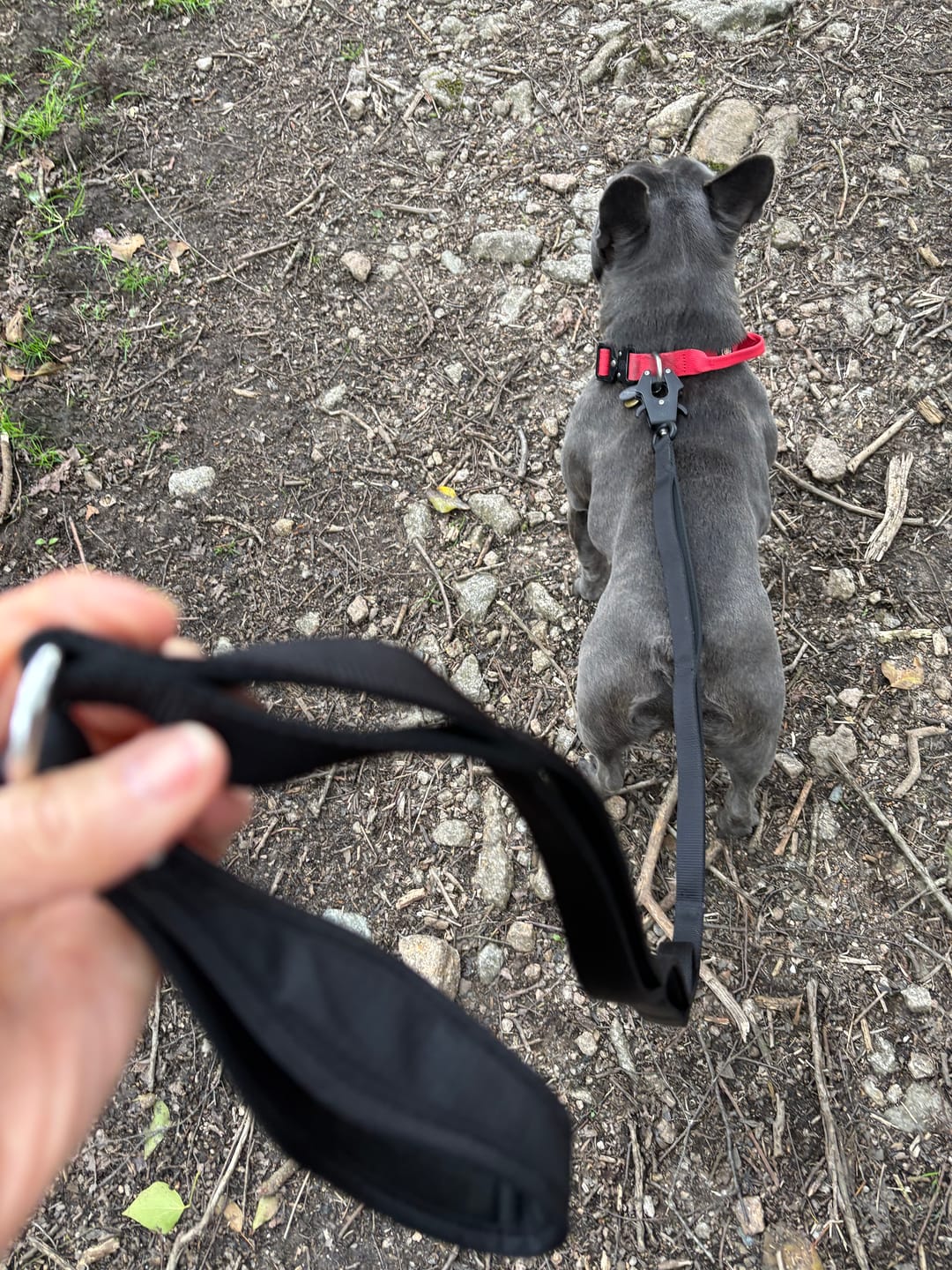 Customer photo review of Ladder Combat® Multiple Handles Lead - Black