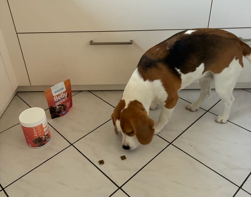 Customer photo review of Belly Biotics (360 treats)