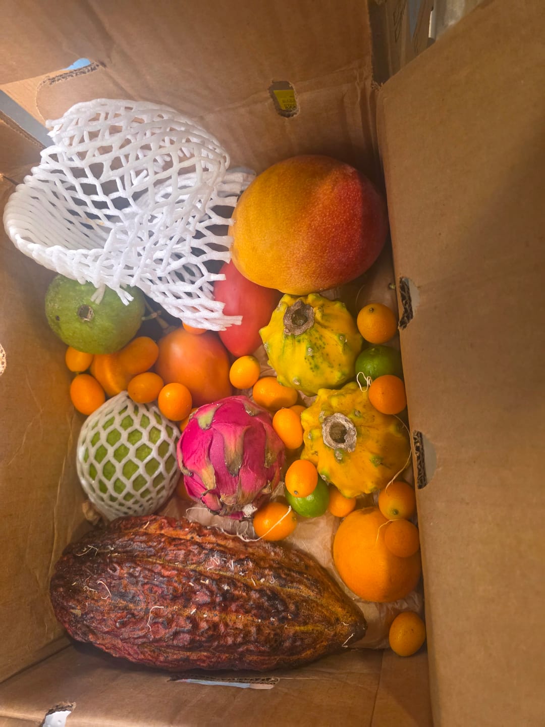 Customer photo review of Build Your Own Tropical Fruit Box