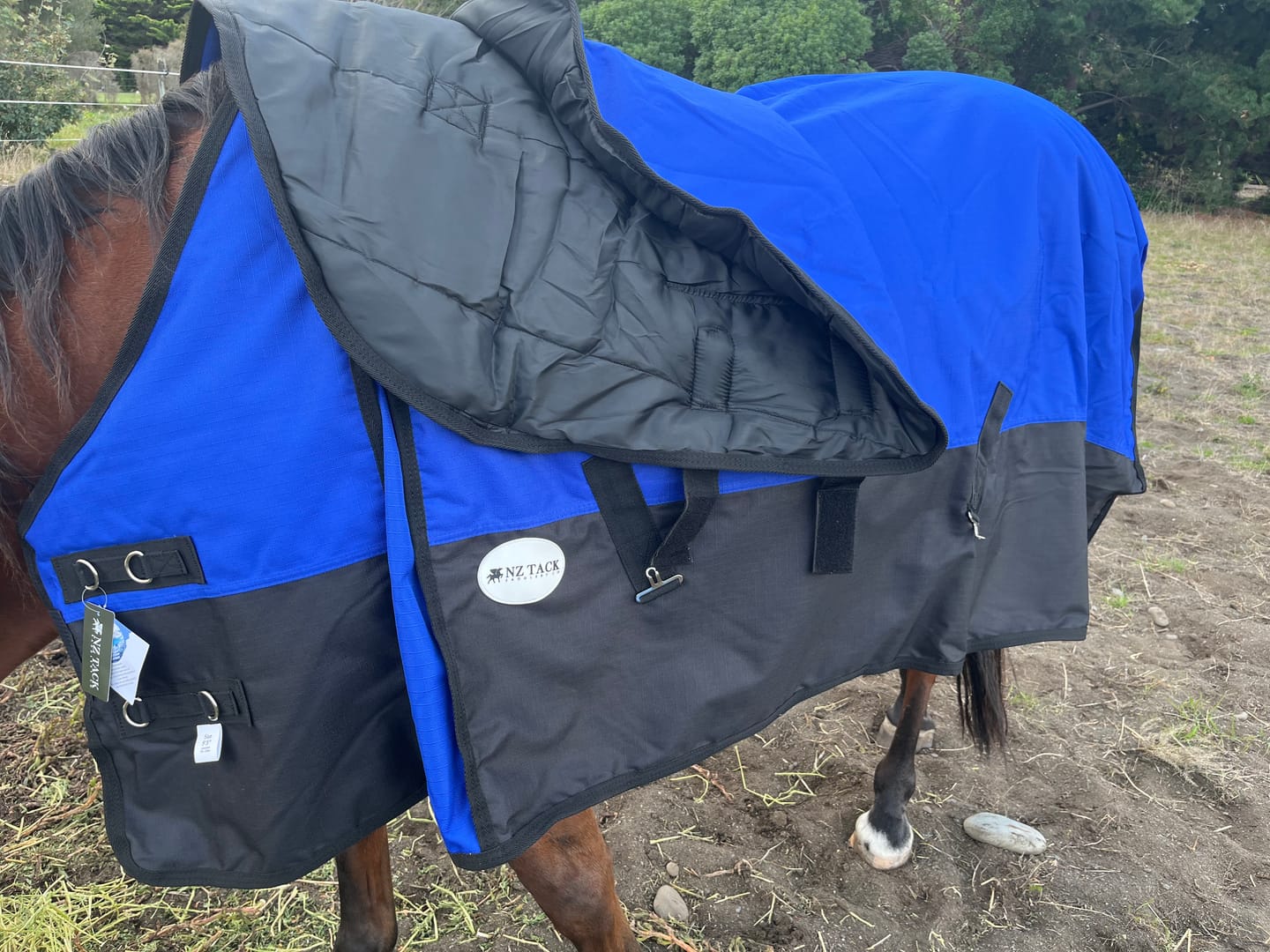Customer photo review of NZ Tack Duke 1200d Detacha-neck