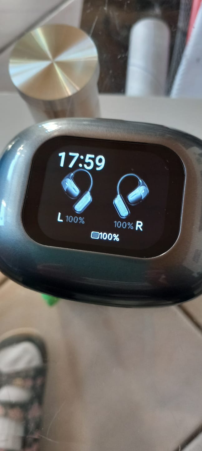 Customer photo review of Lingua Pods