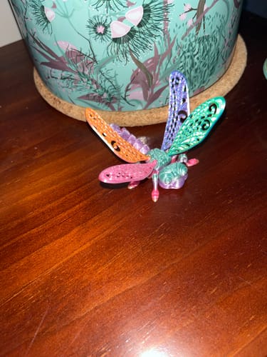 Customer photo review of 3D Sensory Toy Dragon Fly