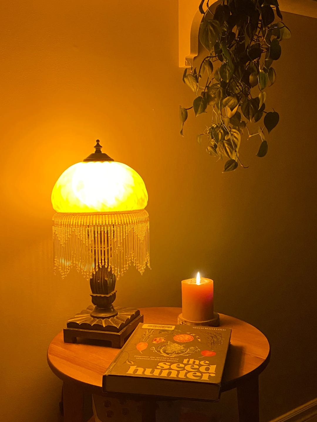 Customer photo review of Circadian Lightbulb™