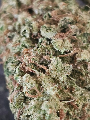 Customer photo review of Cheap THCA Flower Ounce
