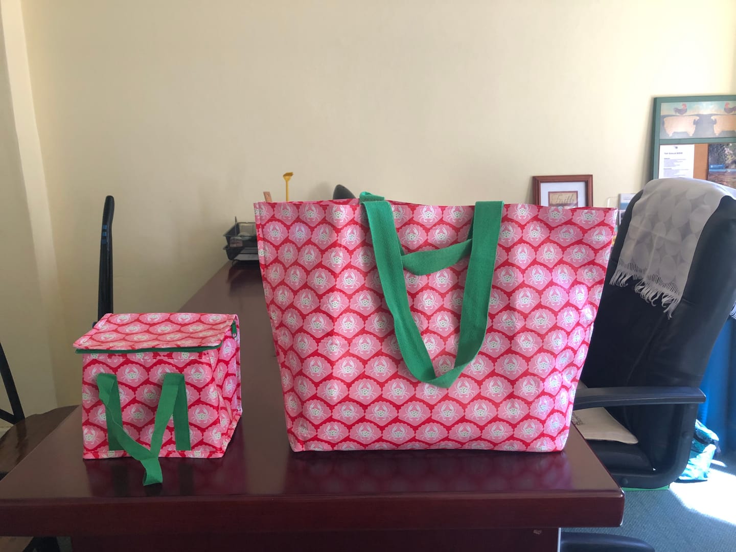 Customer photo review of Lunch Bags - Crabby Shells