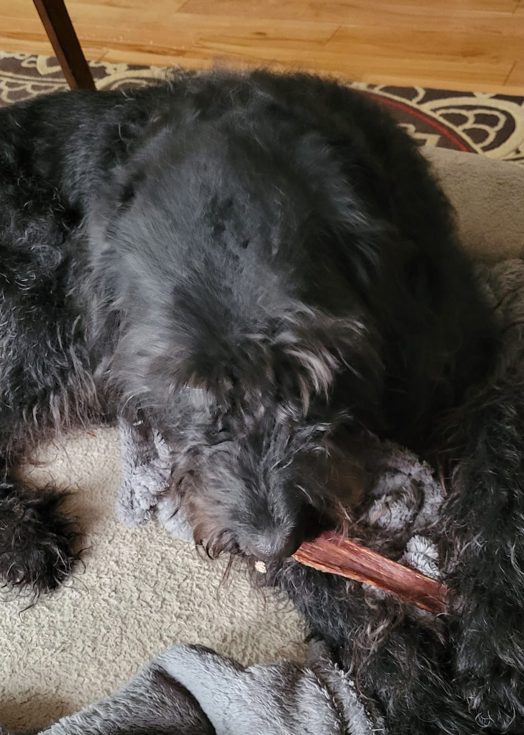 Customer photo review of 12 Inch Beef Jerky Strip