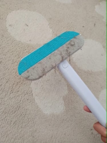 Customer photo review of FellFlex Bürste