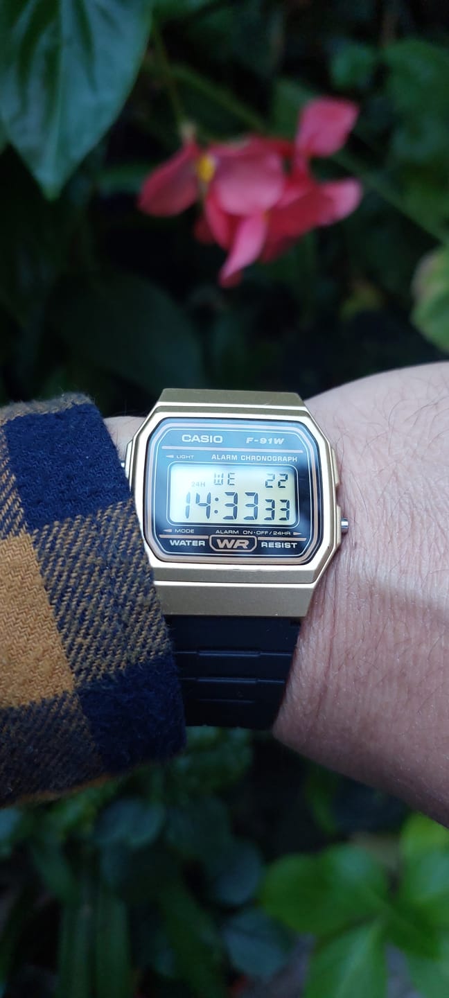 Customer photo review of Reloj Casio Vintage F-91WM-9ADF Dorado/Negro