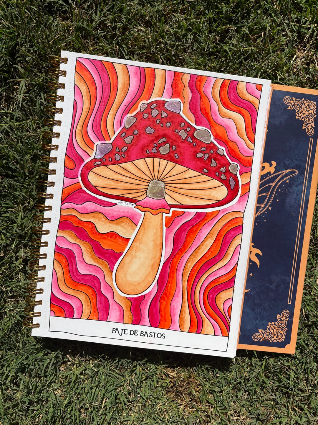 Customer photo review of TAROT PARA COLOREAR: Tomo II - Arcanos menores