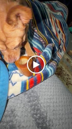 Customer video review of Smoked Beef Marrow Bone