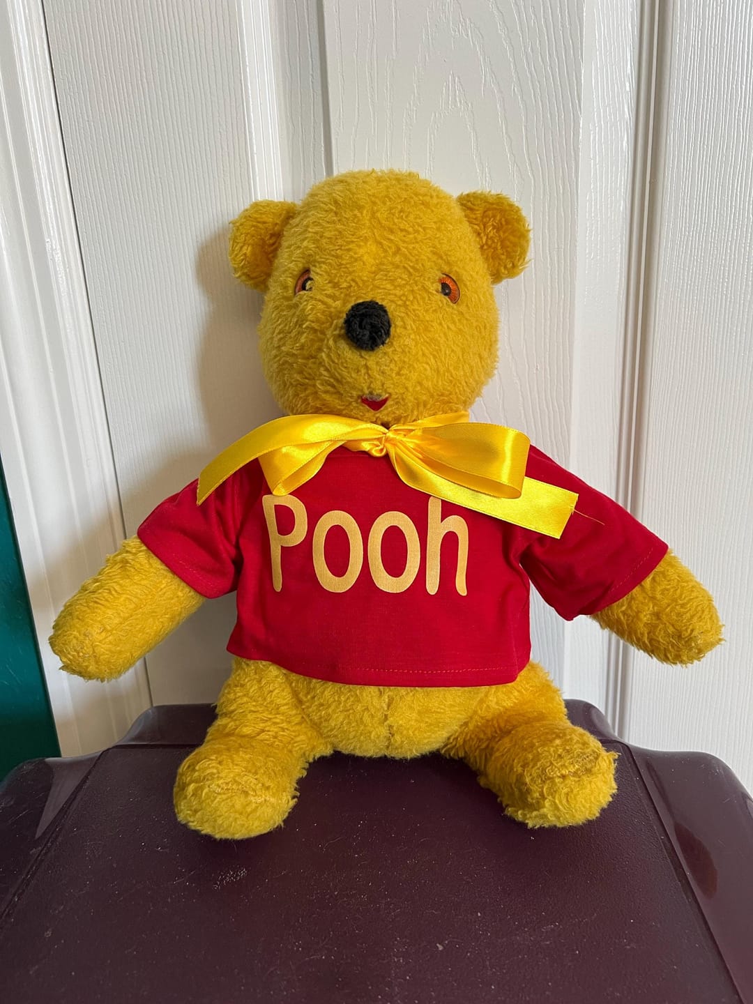 Customer photo review of Custom Plushie T-Shirt — Fits 14–16-inch Plushies