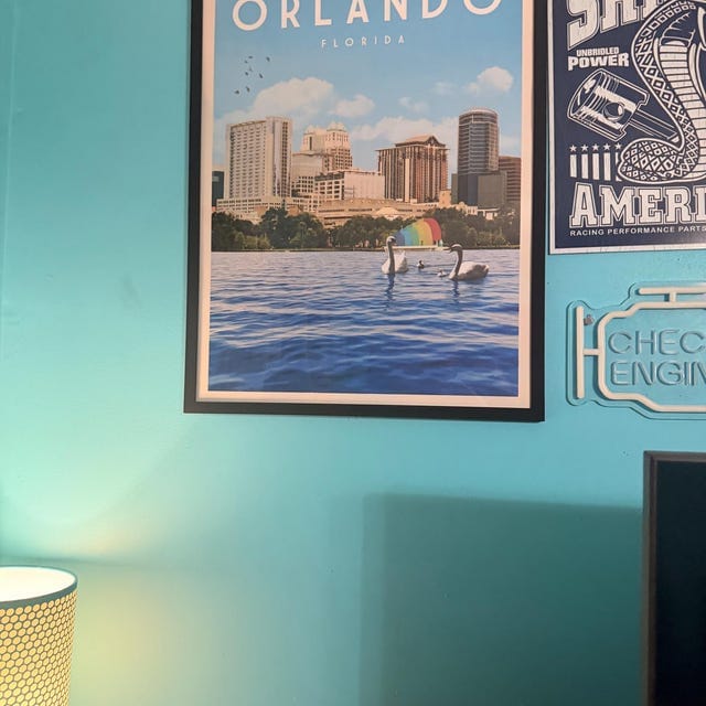 Customer photo review of Orlando, Florida - Vintage Travel Poster