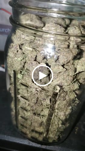 Customer video review of Girl Scout Cookies Smalls (Buy 1 Get 1)