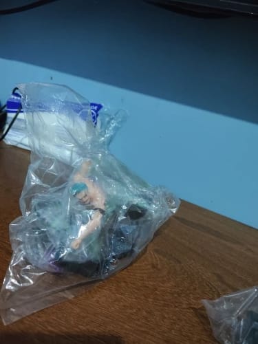 Customer photo review of Pirate Captain & Three Sword Warrior Manga Statue PVC Action Collection Model