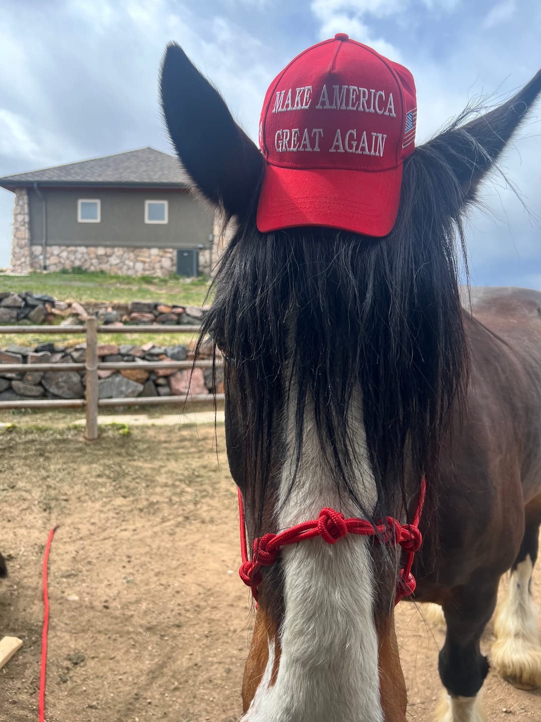 Customer photo review of New MAGA 45 47 Red Hat