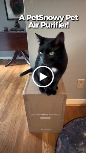 Customer video review of Pet Air Purifier
