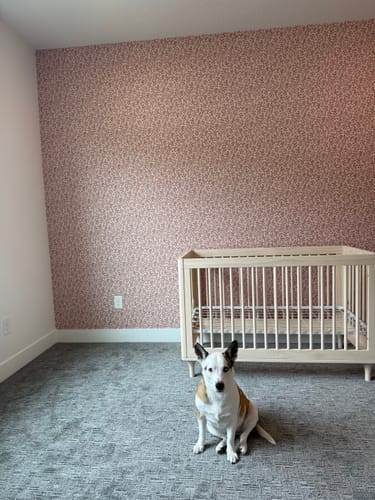 Customer's nursery showing the pink Penelope Wallpaper used as an accent wall behind a crib.