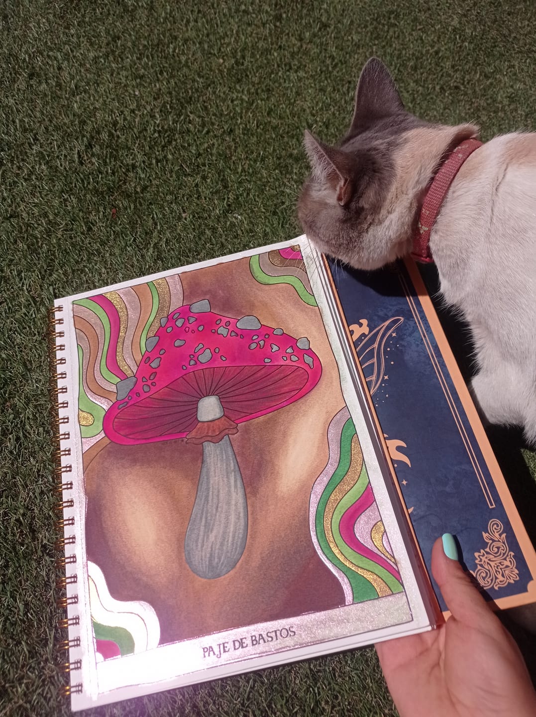 Customer photo review of TAROT PARA COLOREAR: Tomo II - Arcanos menores