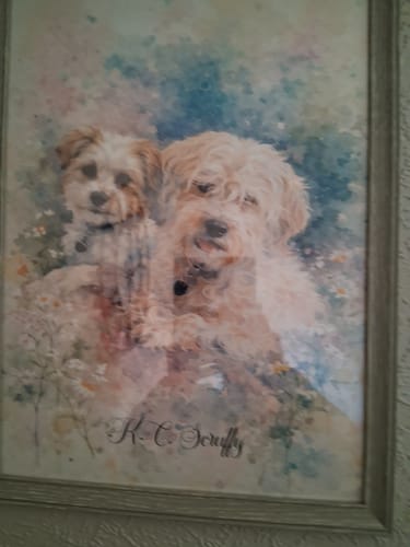 Customer photo review of Graffiti -  Personalised Poster