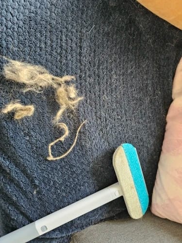 Customer photo review of FellFlex Bürste