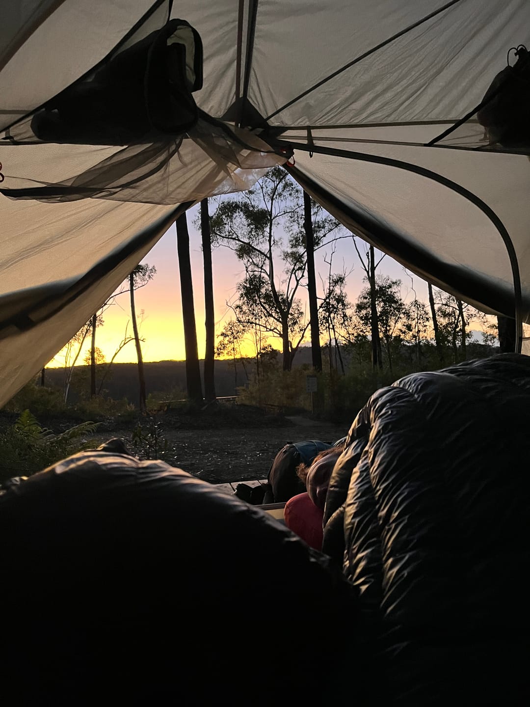 Customer photo review of Waratah
