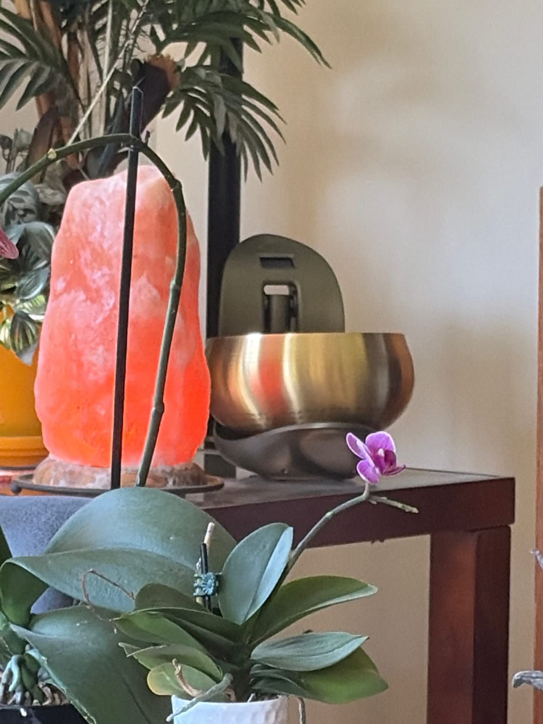 Customer photo review of Lemofuta Automatic Singing Bowl Smart Tibetan Meditation Instrument