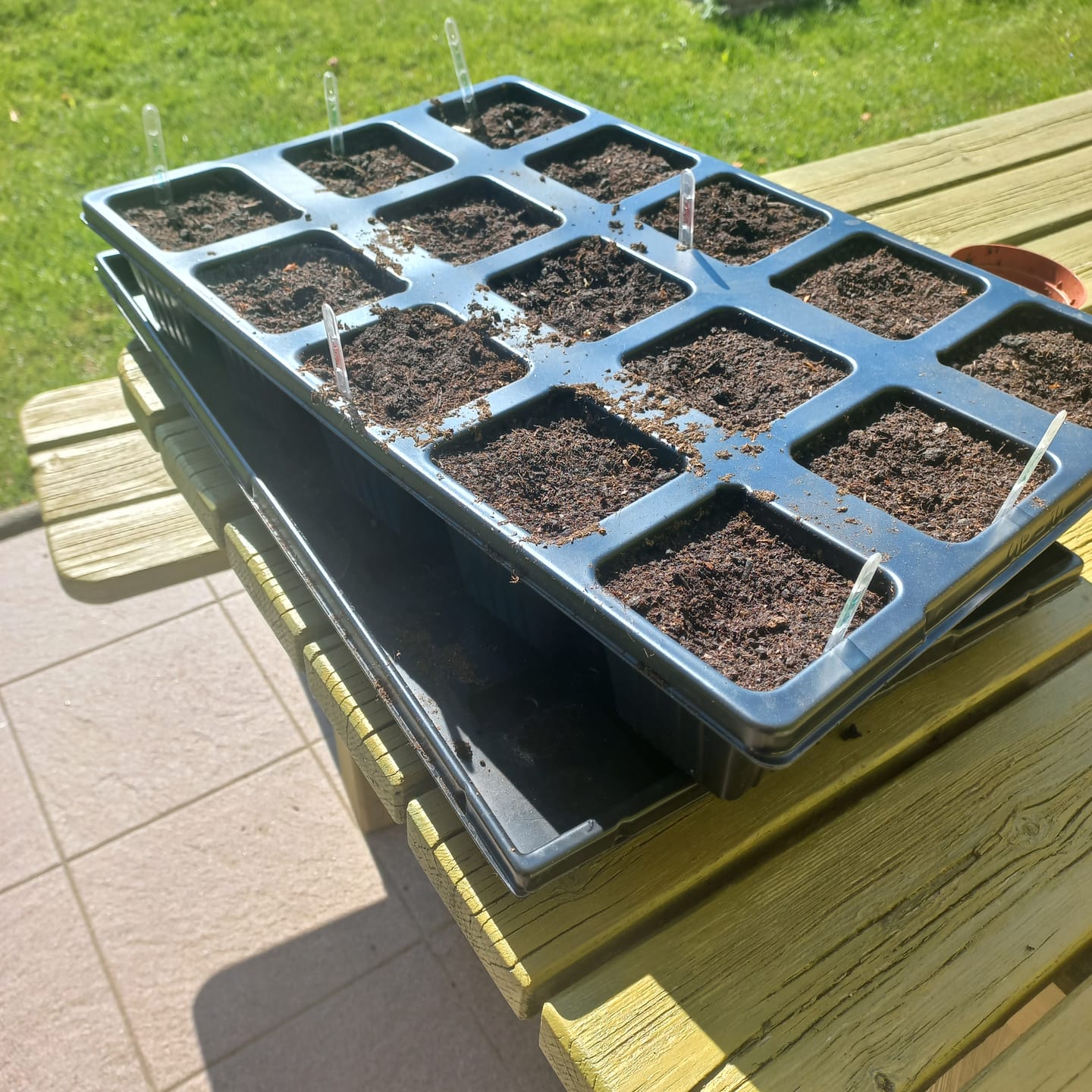 Customer photo review of Untersetzer für QuickPot Anzuchtplatten