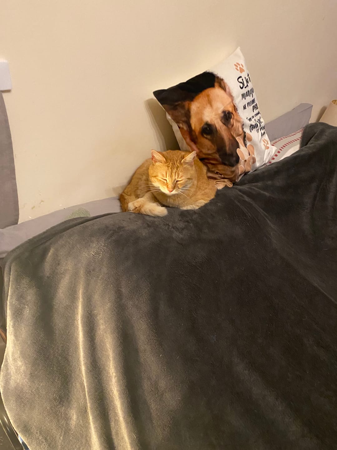 Customer photo review of Si je te manque - Coussin personnalisé