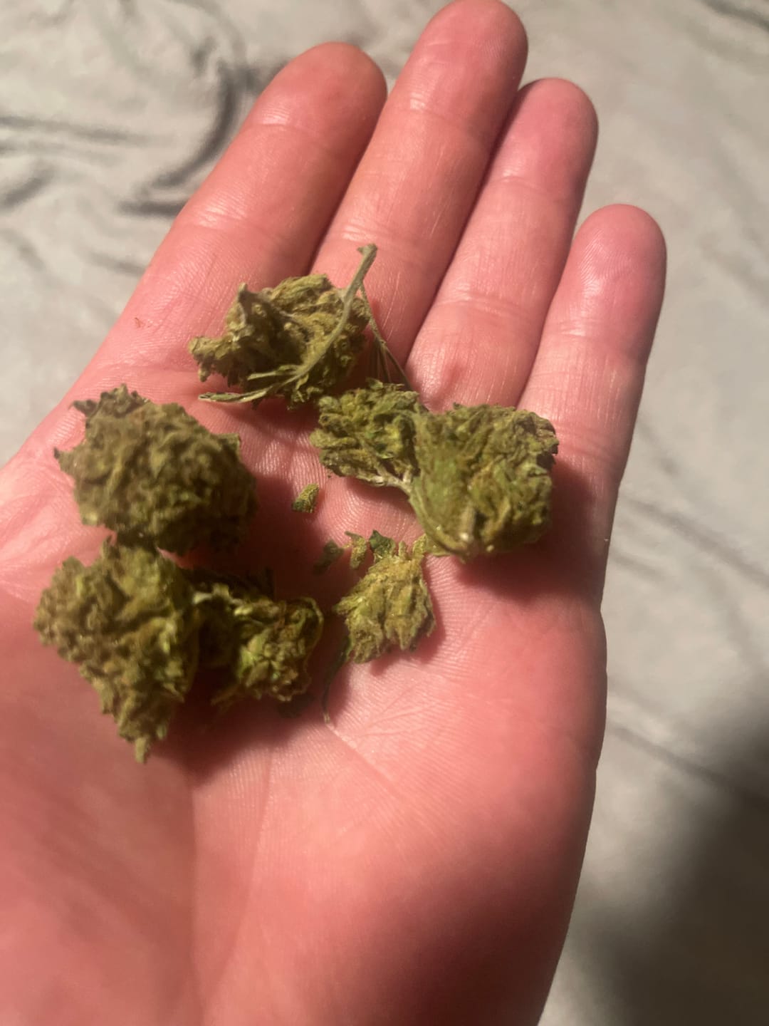 Customer photo review of Jager Sour Diesel - 28 Grams Littles - Sativa