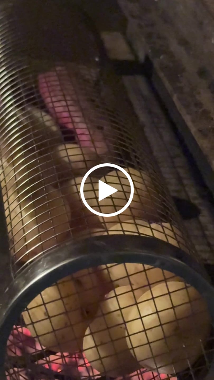 Customer video review of BRAAIPLANK™ ROLLING BRAAI BASKET