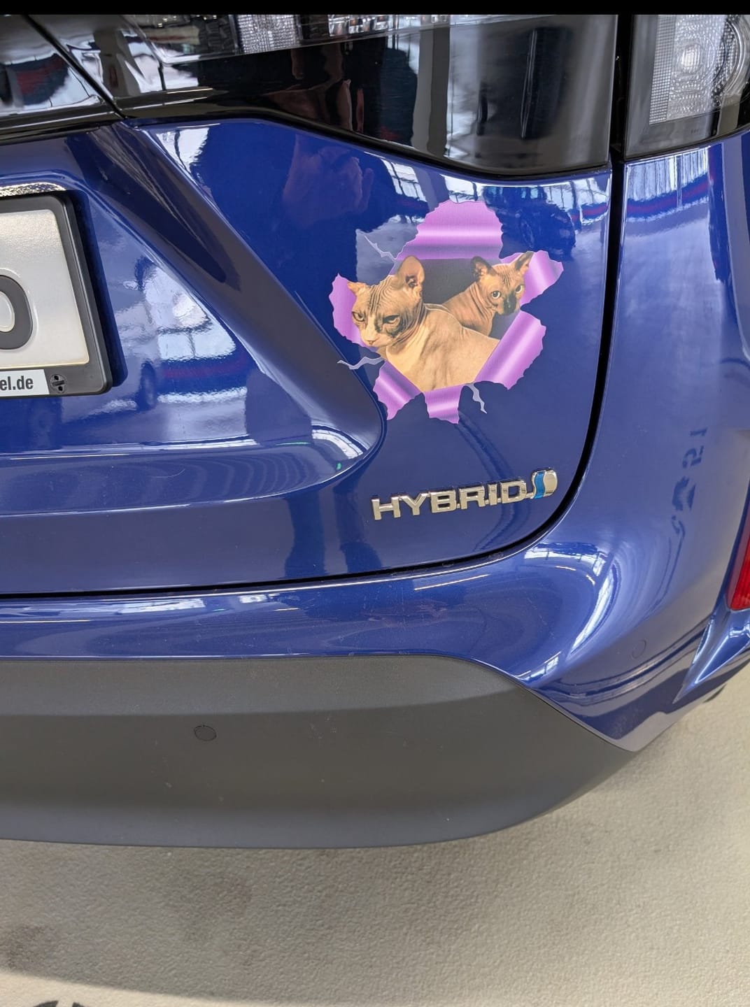 Customer photo review of Personalisierter Autoaufkleber - Spähendes Foto