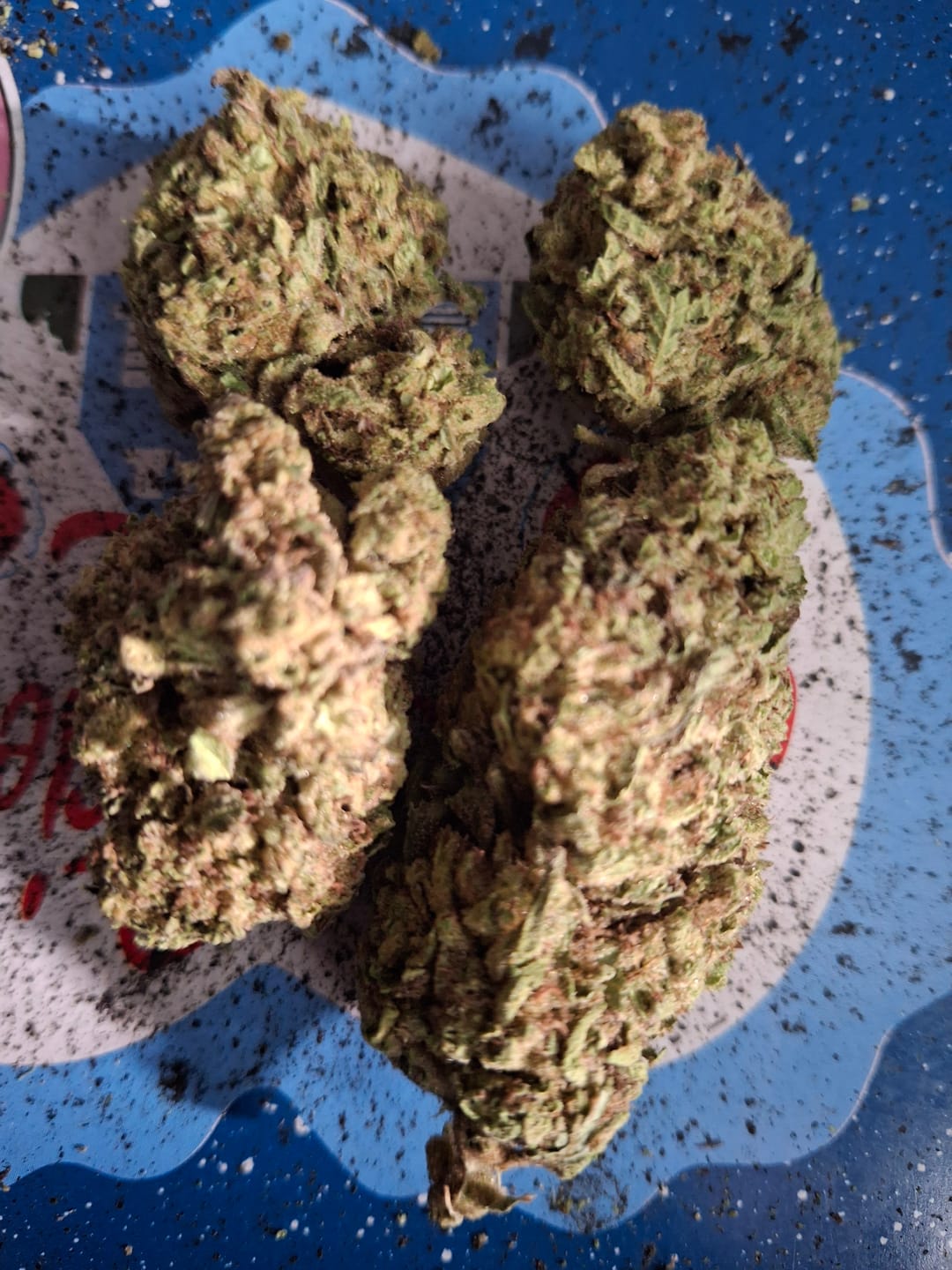 Customer photo review of Rainbow Sherbet - 28 Grams - Hybrid