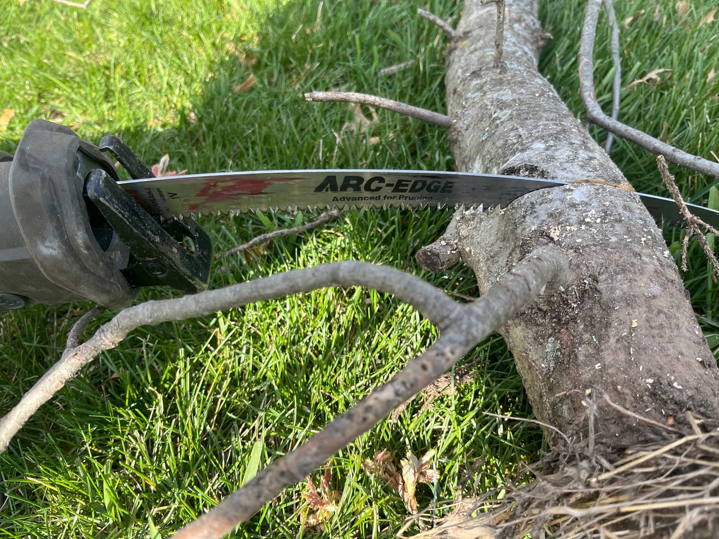 Customer photo review of Tree Trimming/Wood Cutting – Japanese Teeth Arc Edge 6 TPI Reciprocating Saw Blade