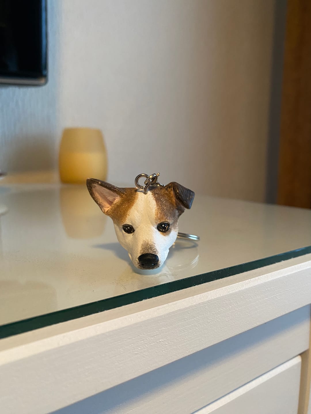Customer photo review of Personalized Custom Pet Keychain/Magnet