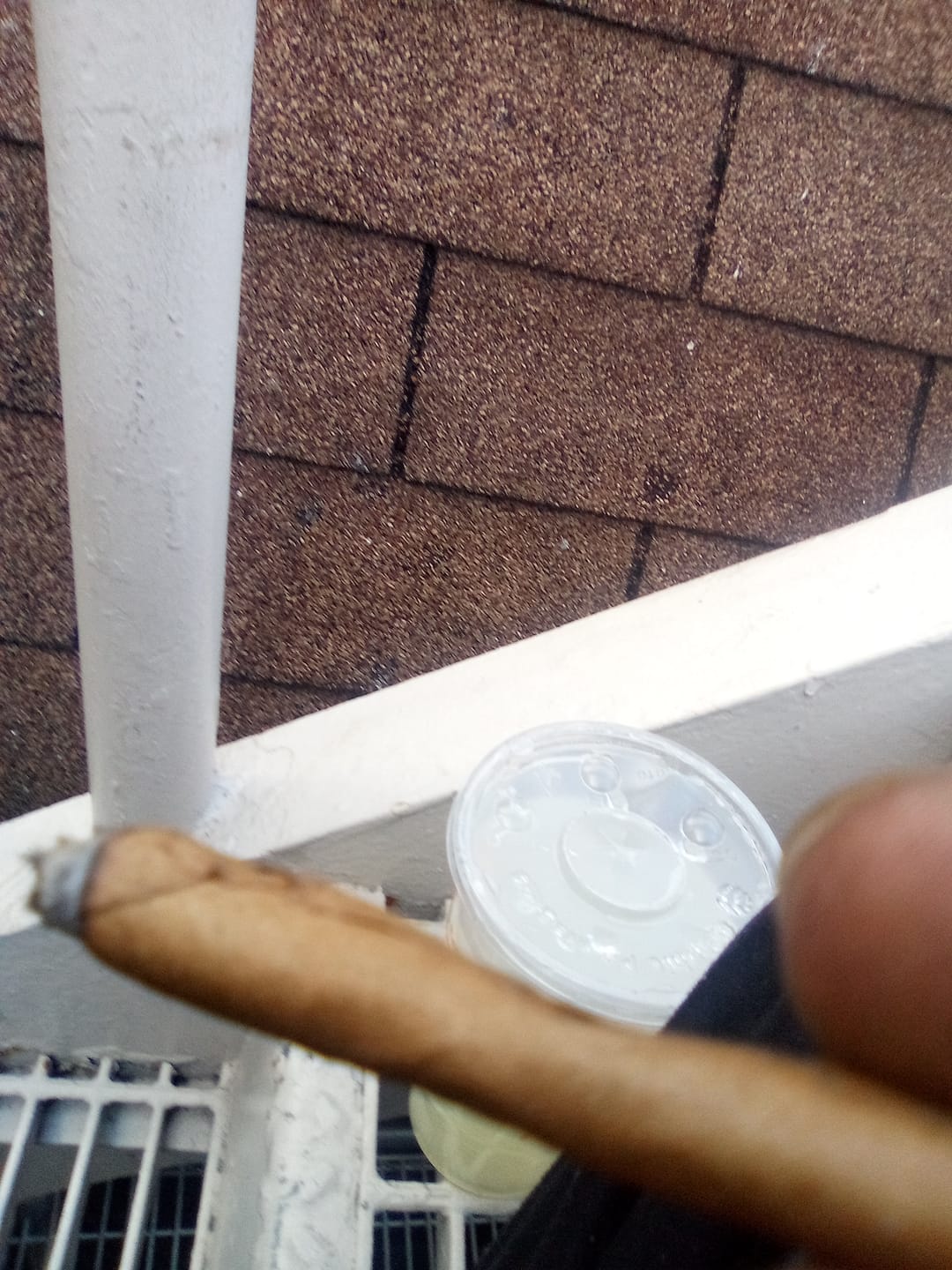 Customer photo review of Mochi Gelato - Bulk - Indica