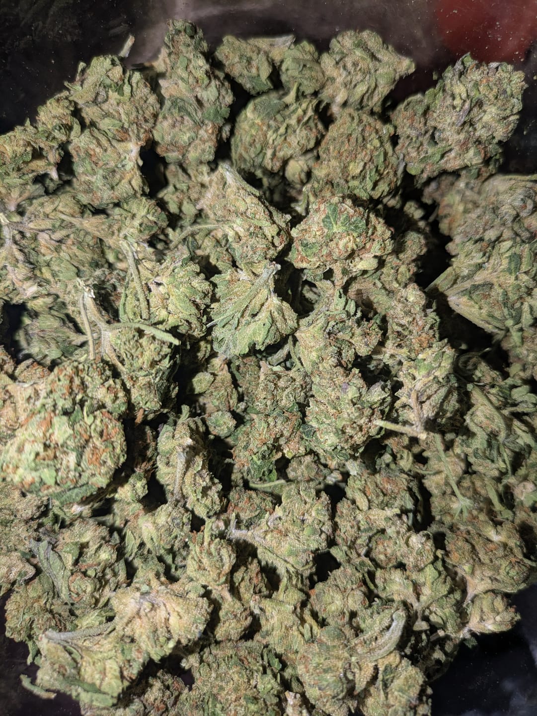 Customer photo review of Grape Soda - Bulk - Sativa