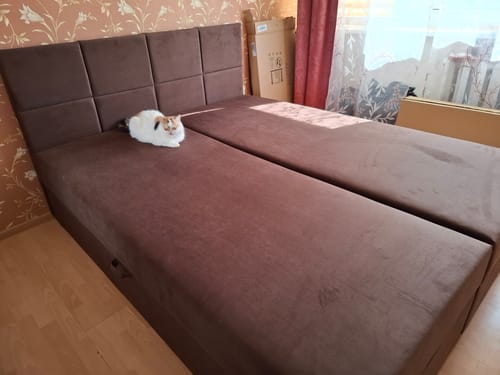 Kliento nuotrauka, kurioje matyti surinkta ruda lova su kvadratiniu galvūgaliu ir ant jos gulinti katė.